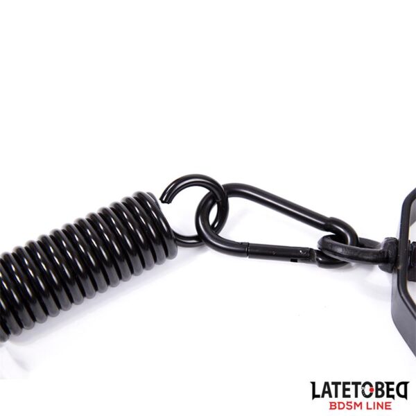 Altalena a Soffitto per Esperienze BDSM - immagine 8